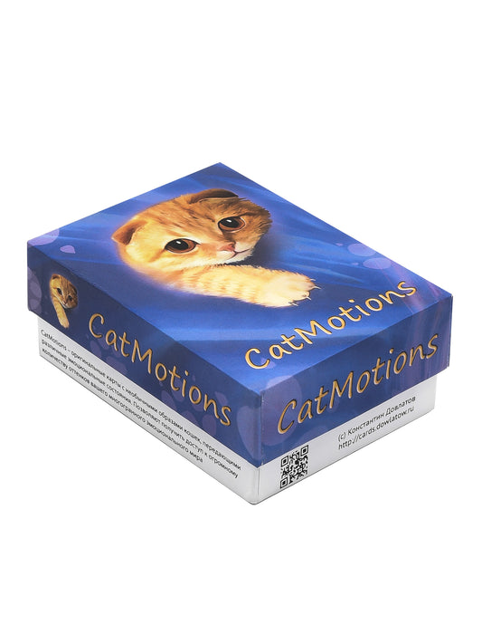 CatMotions