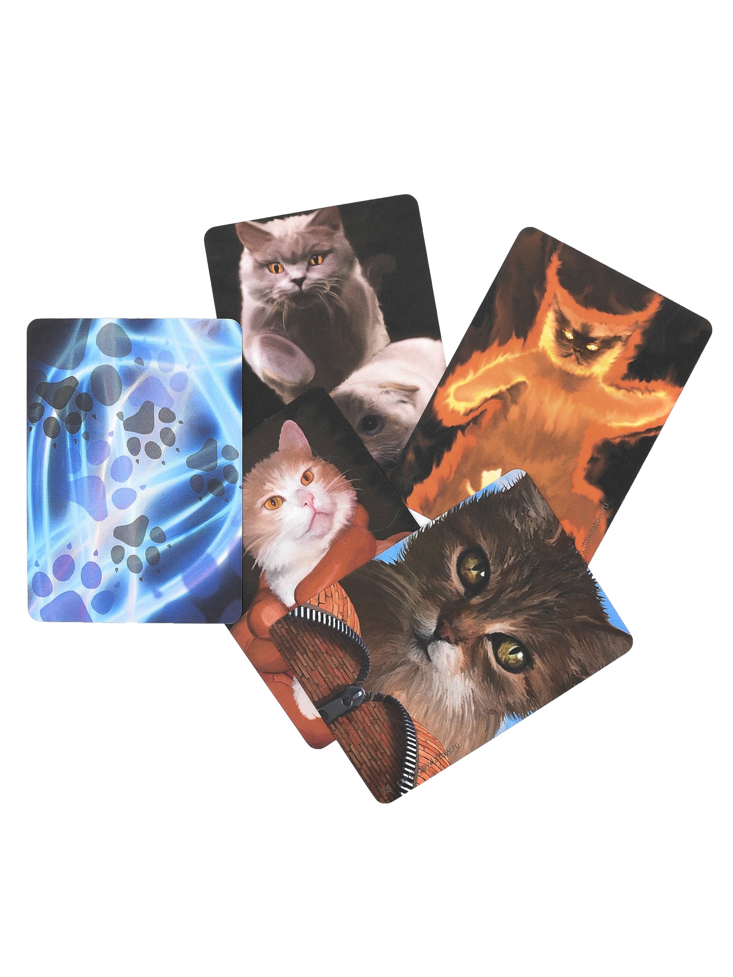 CatMotions
