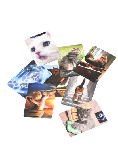 CatMotions